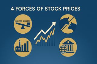 What Really Moves Stock Prices in India? A Beginner's Guide
